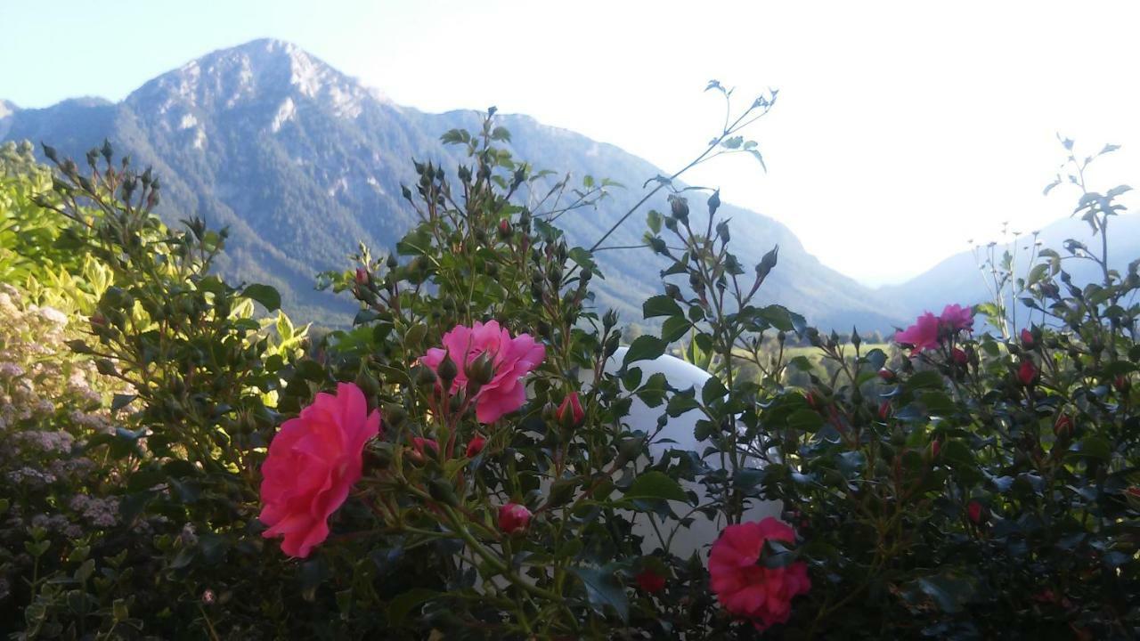 Ferienwohnung "Kaiserblick" บาดเอาส์ซี ภายนอก รูปภาพ